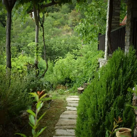 Aspasia's * Принос